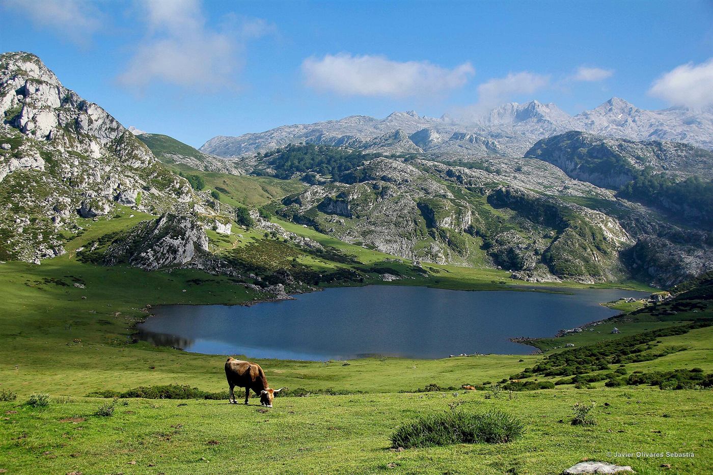 El lago Enol, uno de los Lagos de Covadonga, con los Picos de Europa al fondo