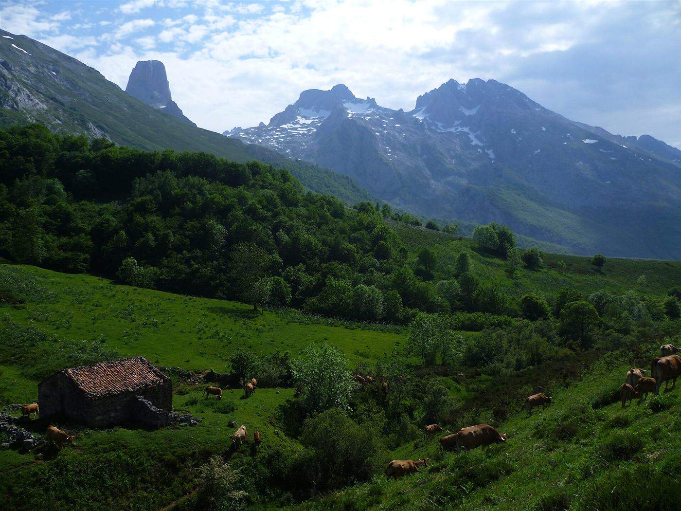 El Naranjo de Bulnes