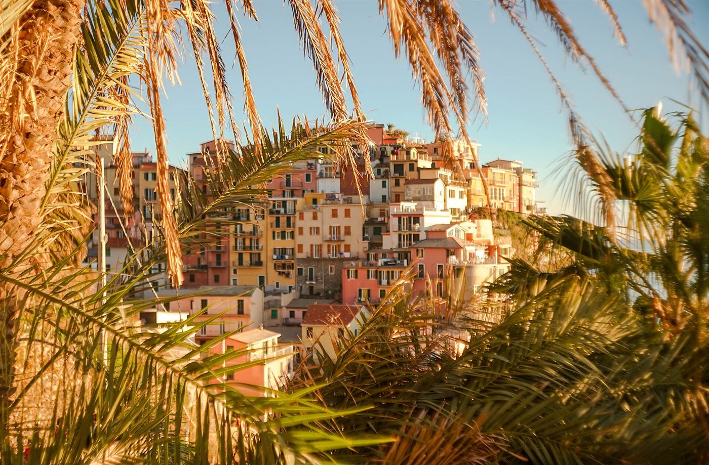 Manarola entre las palmeras.