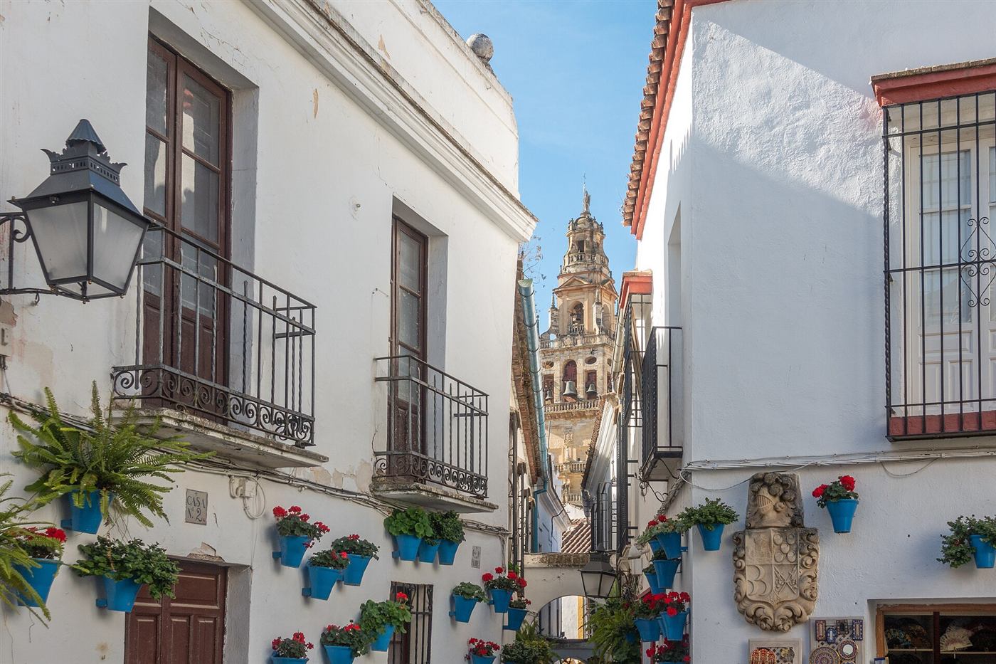 La Calleja de las Flores